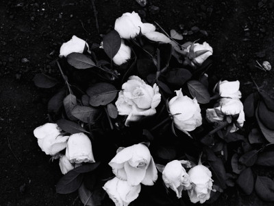 Série Cicatrizadas/ Healed Series – 2002