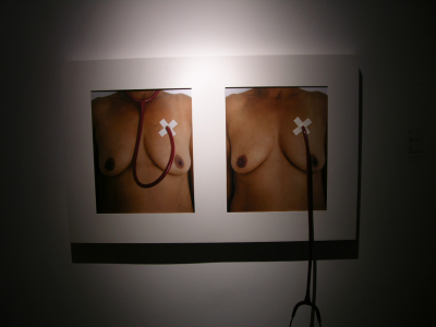 Auscultame/ Auscutate myself – 2007