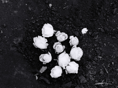 Série Cicatrizadas/ Healed Series – 2002