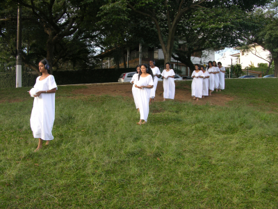 Circunvolvendo/ Circunvolutions – 2005