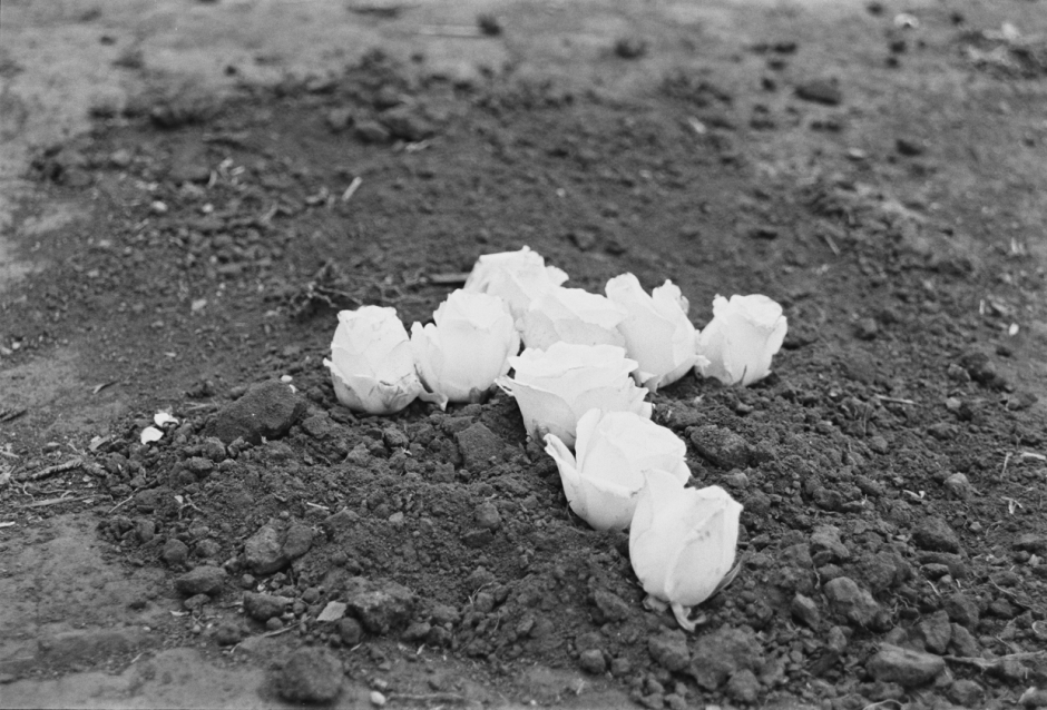 Série Cicatrizadas/ Healed Series – 2002 Série Cicatrizadas/ Healed Series – 2002