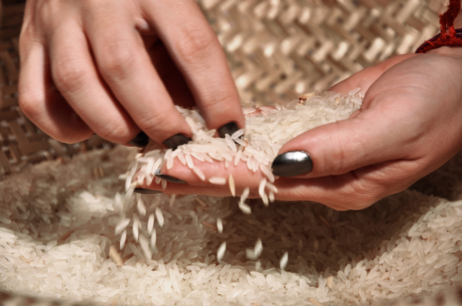 Elección/ Choose – 2010 Elección/ Choose – 2010