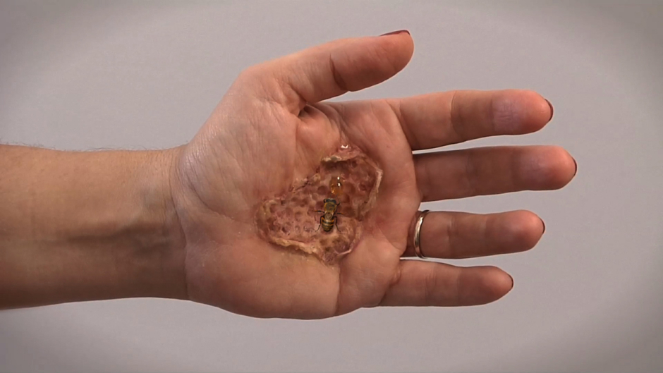 Ex-Purgo – 2011 Ex-Purgo – 2011