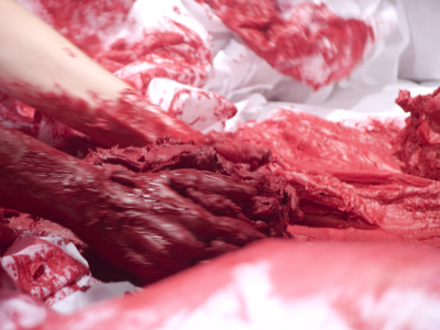 Lecho Rojo/ Red Bed – Madrid – 2008