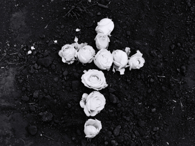 Série Cicatrizadas/ Healed Series – 2002