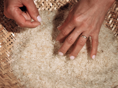 Elección/ Choose – 2010