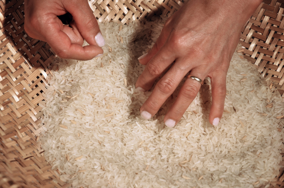 Elección/ Choose – 2010 Elección/ Choose – 2010