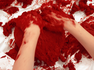 Lecho Rojo/ Red Bed – 2006