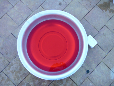 Diluidas en Agua/ Diluted in Water – Zaragoza – 2008