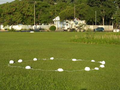 Circunvolvendo/ Circunvolutions – 2005