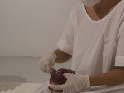 Huecos del Alma/ The Void of the Soul – 2008