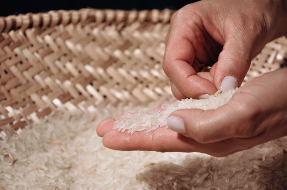 Elección/ Choose – 2010 Elección/ Choose – 2010