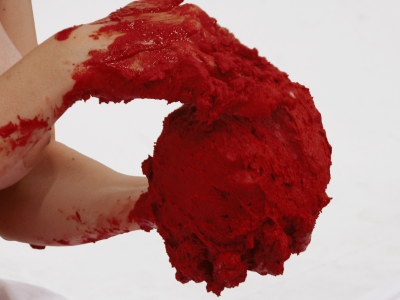 Lecho Rojo/ Red Bed – 2006