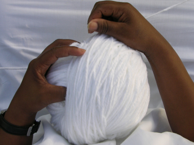 Circunvolvendo/ Circunvolutions – 2005