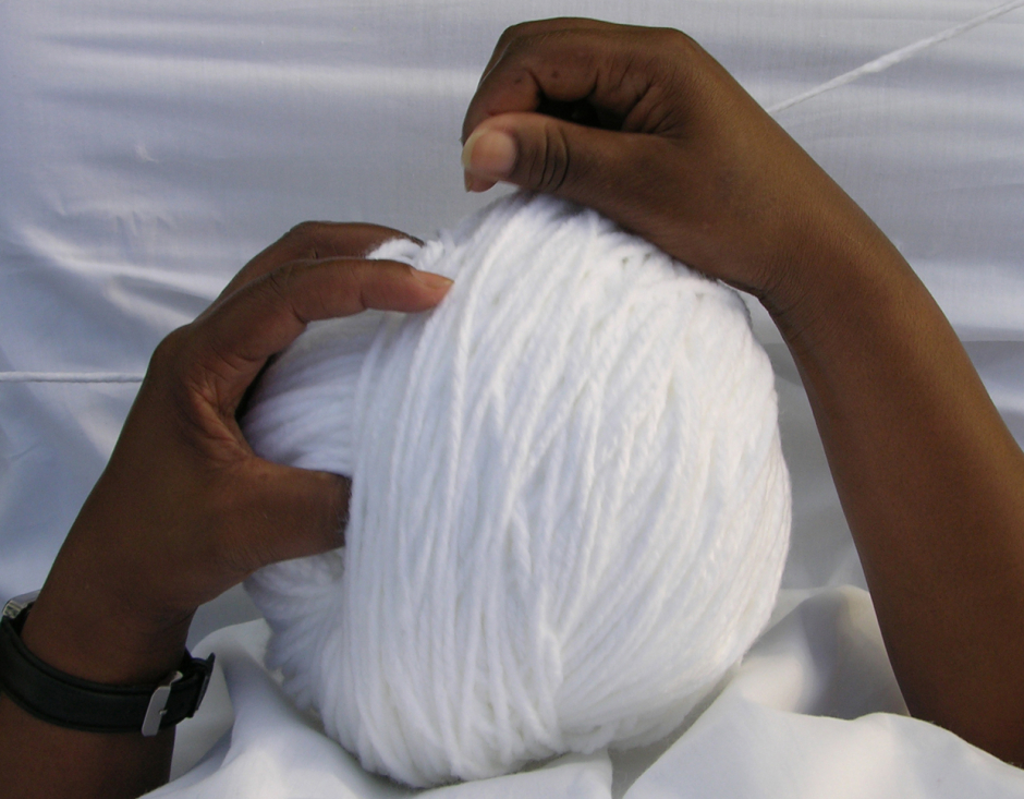 Circunvolvendo/ Circunvolutions – 2005 Circunvolvendo/ Circunvolutions – 2005