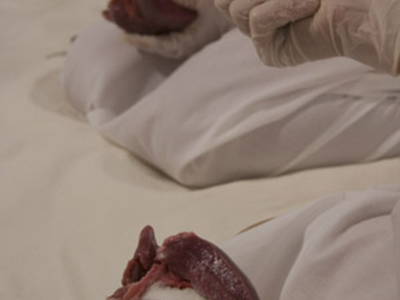 Huecos del Alma/ The Void of the Soul – 2008