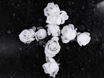 Série Cicatrizadas/ Healed Series – 2002