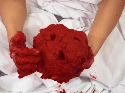 Lecho Rojo/ Red Bed – 2006