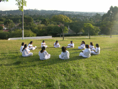 Circunvolvendo/ Circunvolutions – 2005