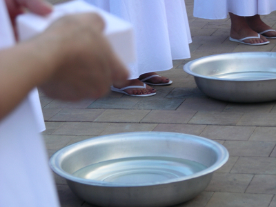 Diluidas en Agua/ Diluted in Water – Zaragoza – 2008