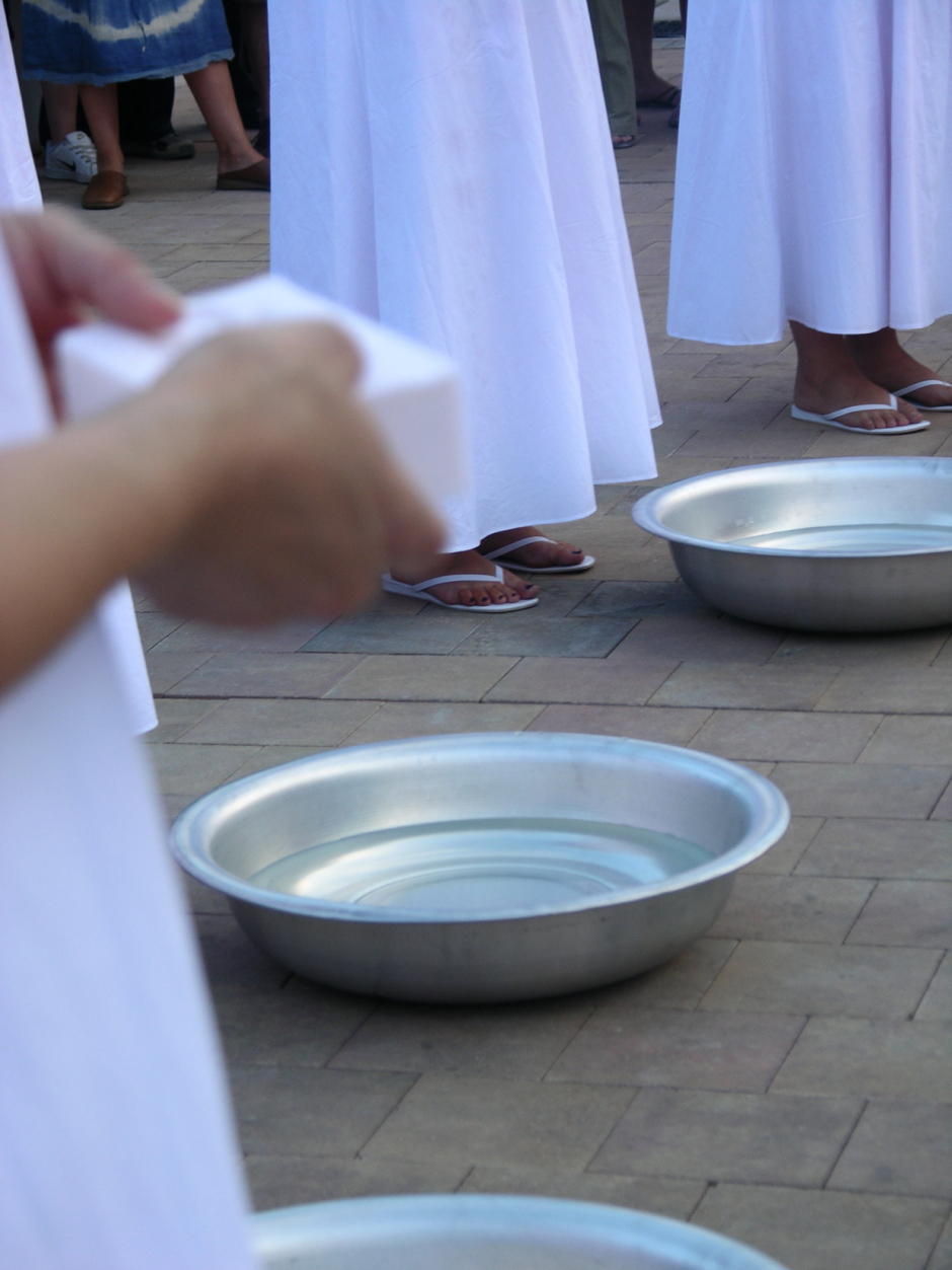 Diluidas en Agua/ Diluted in Water – Zaragoza – 2008 Diluidas en Agua/ Diluted in Water – Zaragoza – 2008