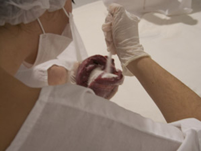 Huecos del Alma/ The Void of the Soul – 2008