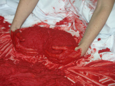 Lecho Rojo/ Red Bed – Sevilla – 2007