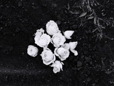 Série Cicatrizadas/ Healed Series – 2002