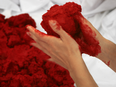 Lecho Rojo/ Red Bed – 2006