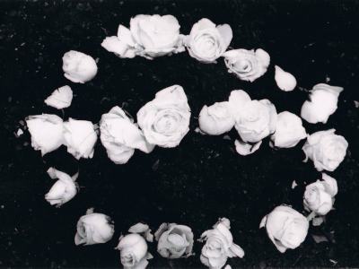 Série Cicatrizadas/ Healed Series – 2002