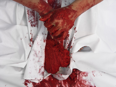 Lecho Rojo/ Red Bed – 2006