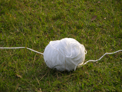 Circunvolvendo/ Circunvolutions – 2005