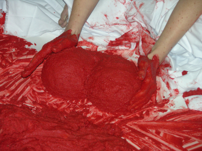 Lecho Rojo/ Red Bed – Sevilla – 2007