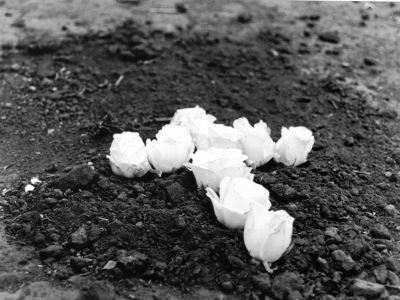 Memória do Afeto/ Memory of Affection – Brasília – 2002