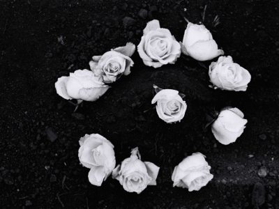 Série Cicatrizadas/ Healed Series – 2002