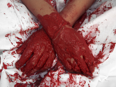 Lecho Rojo/ Red Bed – 2006