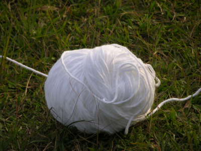 Circunvolvendo/ Circunvolutions – 2005