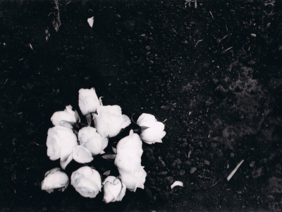 Série Cicatrizadas/ Healed Series – 2002