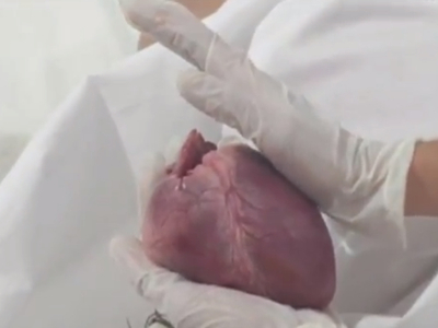 Huecos del Alma/ The Void of the Soul – 2008