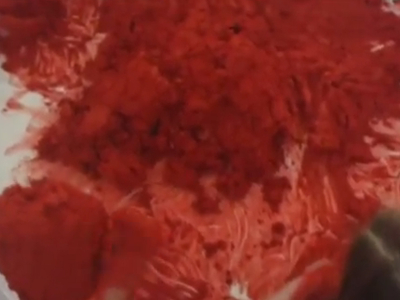 Lecho Rojo/ Red Bed – Sevilla – 2007