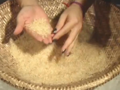 Elección/ Choose – 2010