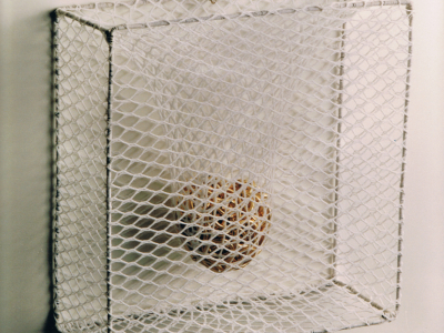 Alianças/ Wedding Rings – 1995