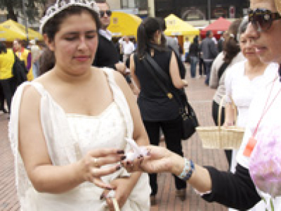 Lembranças Veladas/ Veiled Recollections – Bogotá – 2010