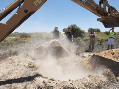 Miedo/ Fear – 2009