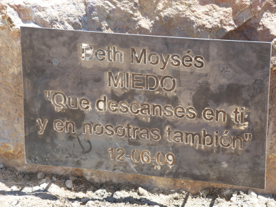 Miedo/ Fear – 2009