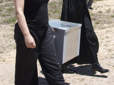 Miedo/ Fear – 2009