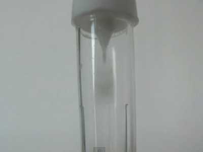 Frente e Verso/ Back and Front – 2004