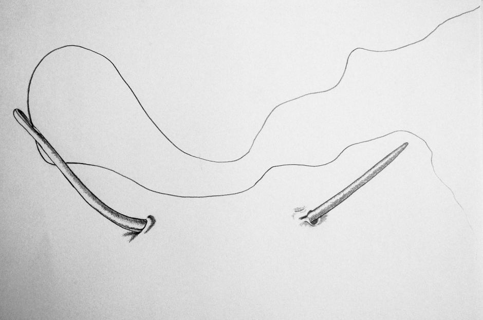 Serie Dibujos – 2013 Serie Dibujos – 2013