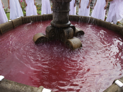 Diluidas en agua Panamá 2013