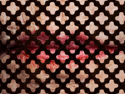 Coral Celestial – 2013